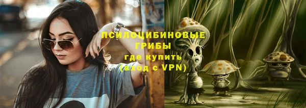 мет Арсеньев
