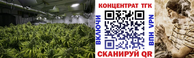 hydra   Черногорск  Дистиллят ТГК вейп с тгк 