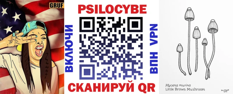 МЕГА как зайти  Черногорск  Псилоцибиновые грибы мицелий  закладки 